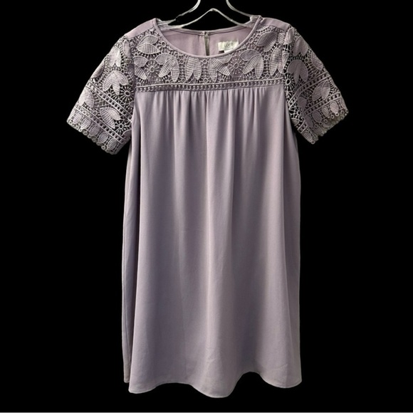 Ann Taylor Loft /Mauve Lavender Lace /Swing Dress Size S /Rayon  Spandex - Picture 1 of 11
